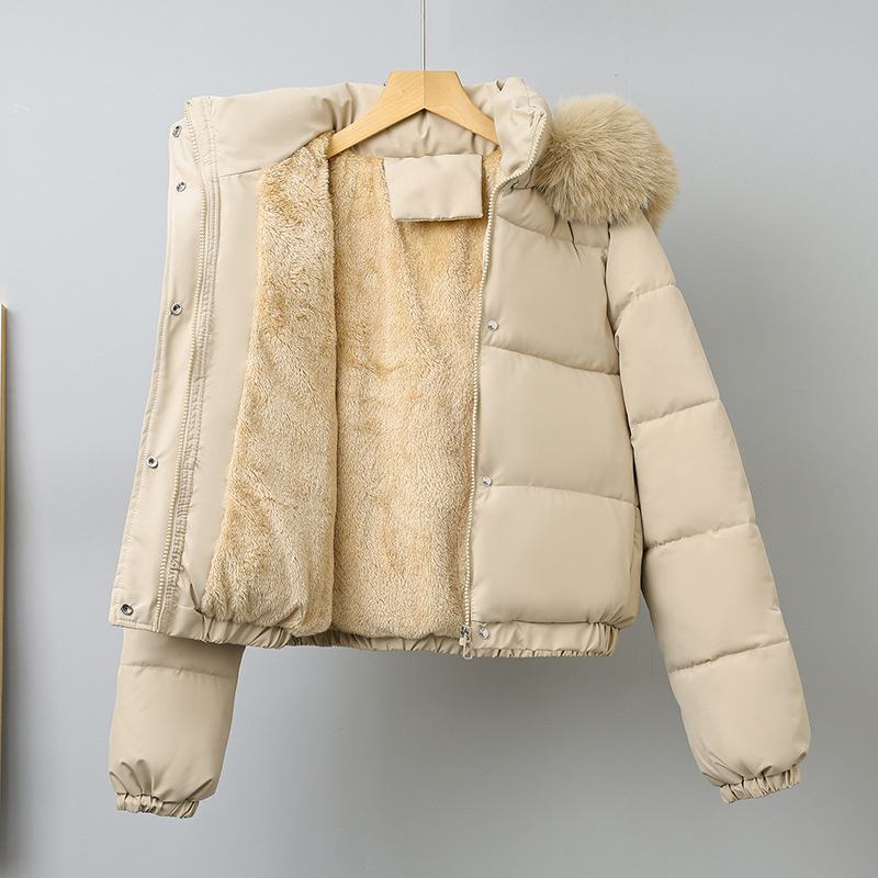 冬のショートパーカー女性の綿入りの服追加ベルベット厚みのアウ - Wool Coat Peacoat のレビューと価格