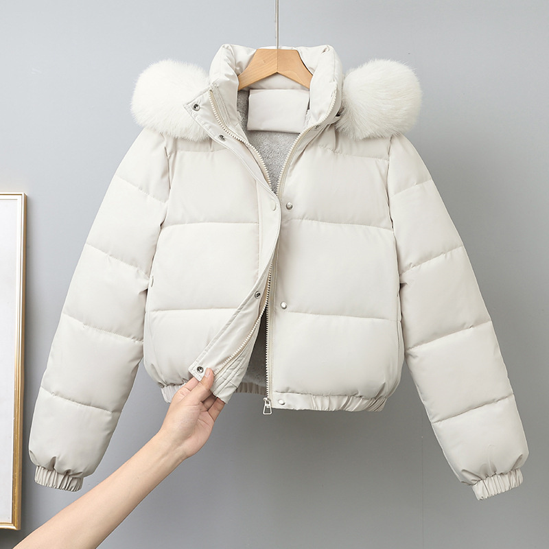 冬のショートパーカー女性の綿入りの服追加ベルベット厚みのアウ - Wool Coat Peacoat のレビューと価格